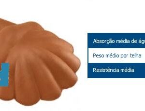 PONTA DE CUMINHEIRA (UNHA DE TIGRE)